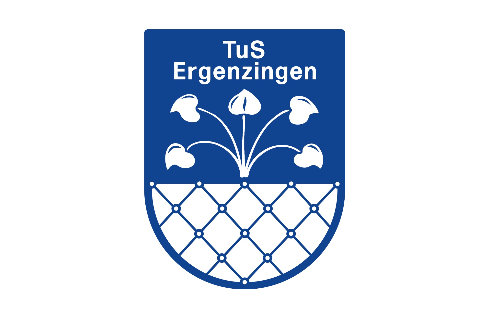 TuS Ergenzingen